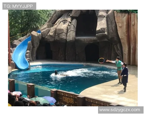 足球明星与海洋奇遇记魅力抱鱼视频大赏